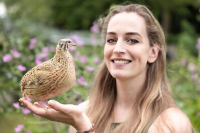 Tanja kweekt kwartels in ‘roze wildkleur’ en ‘pinguïn’