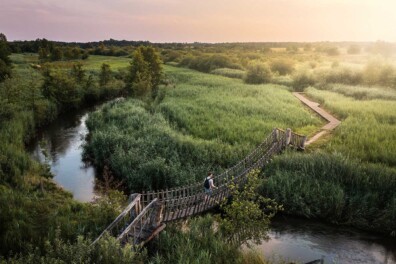 Het Dommelpad: wandelen langs natuur en historische watermolens (advertorial)