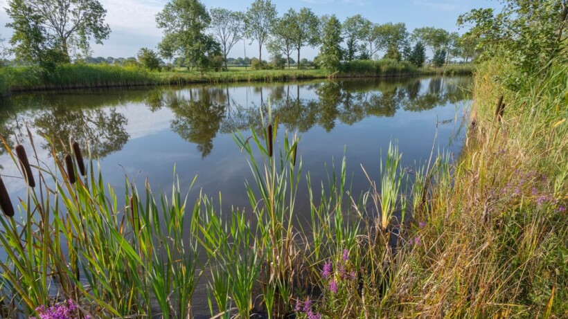 Roots-wandeling: over jaagpaden in het Groene Hart