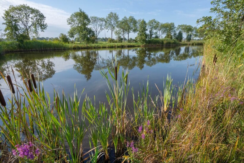 Roots-wandeling: over jaagpaden in het Groene Hart
