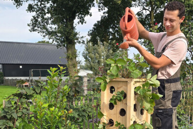 Maak een steigerhouten aardbeienstaander