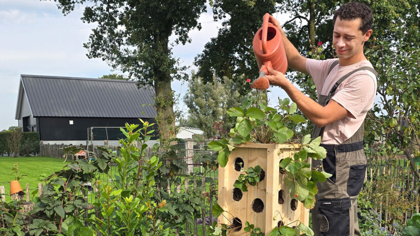 Maak een steigerhouten aardbeienstaander