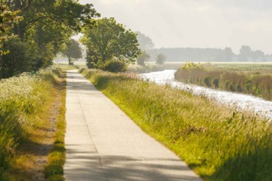 Levend landschap door bermbeheer langs Boterdiep