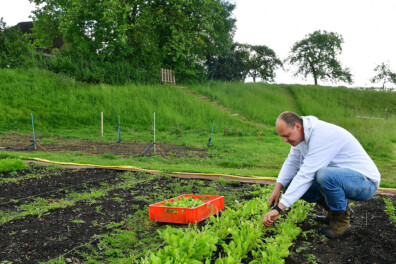 Efficiënt telen in Stefs moestuin