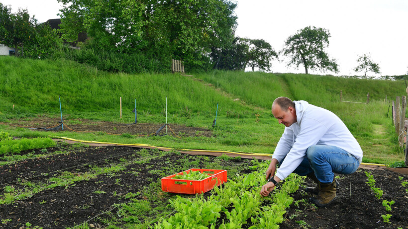 Efficiënt telen in Stefs moestuin
