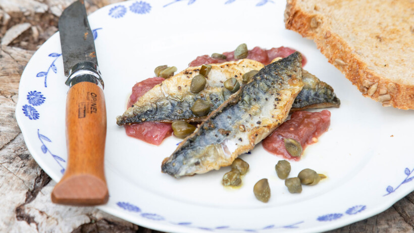Gebakken makreel met rabarberrelish en kappertjes