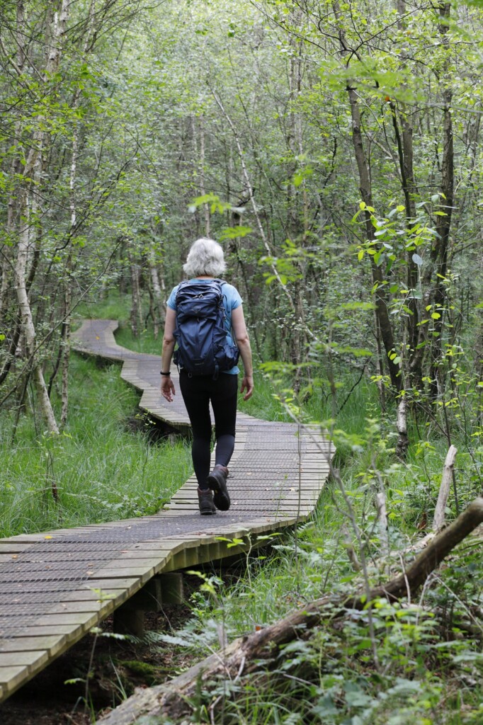 wandelaar op vlonderpad