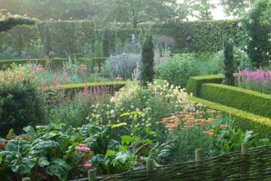 Zo voorkom je plagen in de tuin en zo ga je ze te lijf