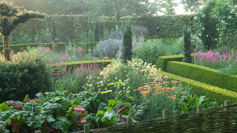 Zo voorkom je plagen in de tuin en zo ga je ze te lijf