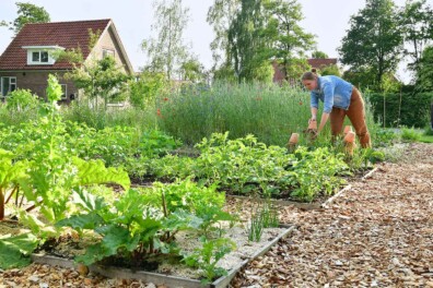 Van paardenbak naar ecologische, moderne tuin