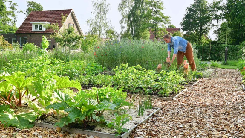 Van paardenbak naar ecologische, moderne tuin