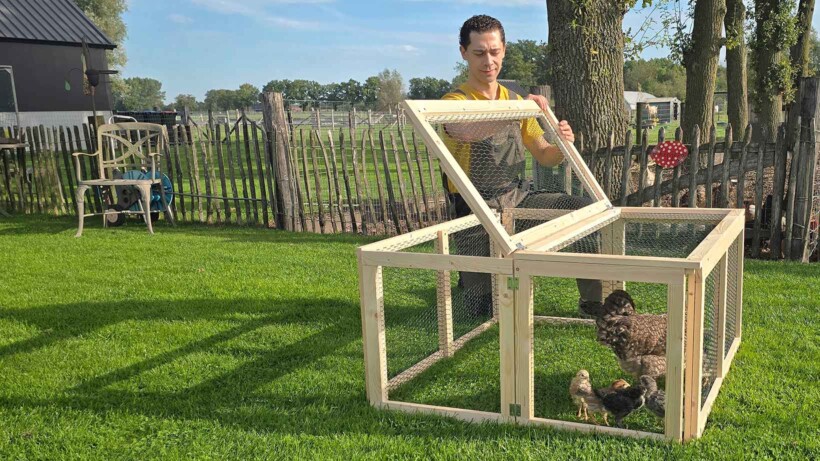 Kippenren maken: bouw zelf een veilige, inklapbare ren