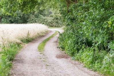 Waarom zandwegen een onderschat landschapselement zijn