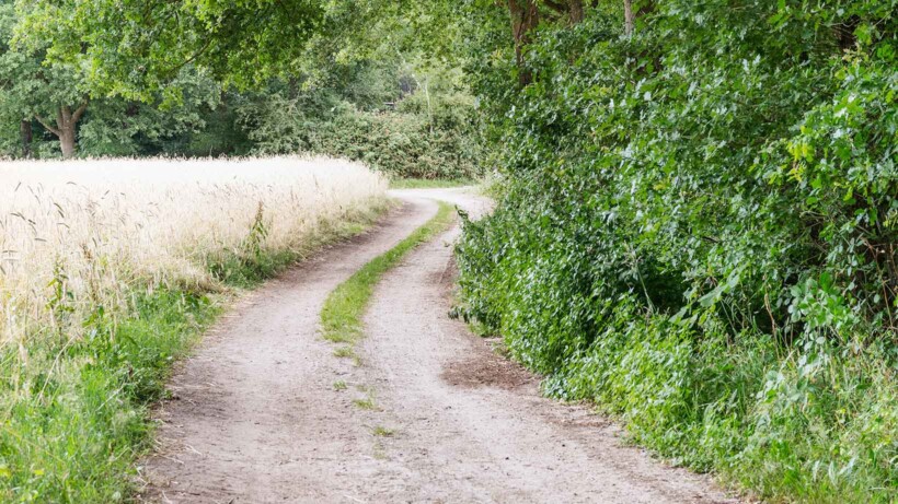 Waarom zandwegen een onderschat landschapselement zijn