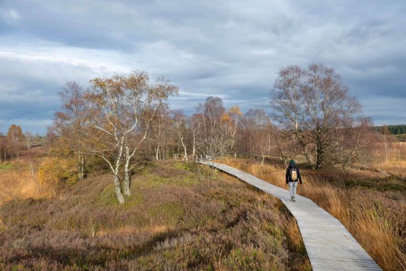 Wandelen Hoge Venen: over het dak van België