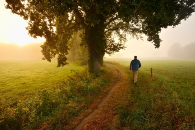 Roots-wandeling: langs kastelen en beken rond landgoed Weldam