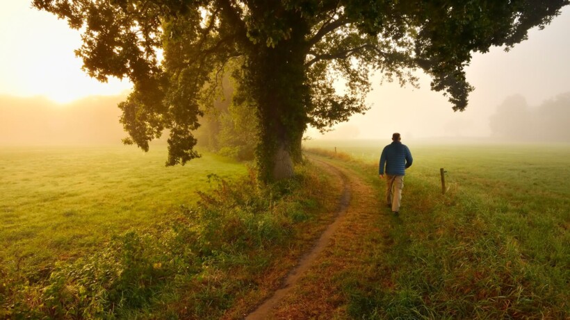 Roots-wandeling: langs kastelen en beken rond landgoed Weldam
