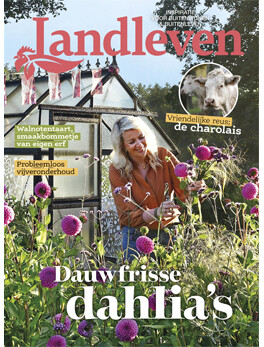 Landleven september