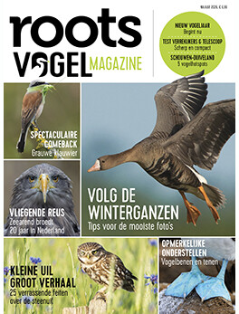 Roots Vogelmagazine