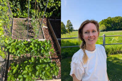 Slow life in de Randstad: de moestuin