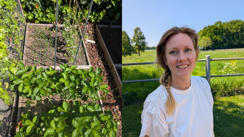 Slow life in de Randstad: de moestuin