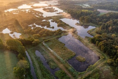 Verborgen in Vlaanderen: 7 onbekende natuurparels