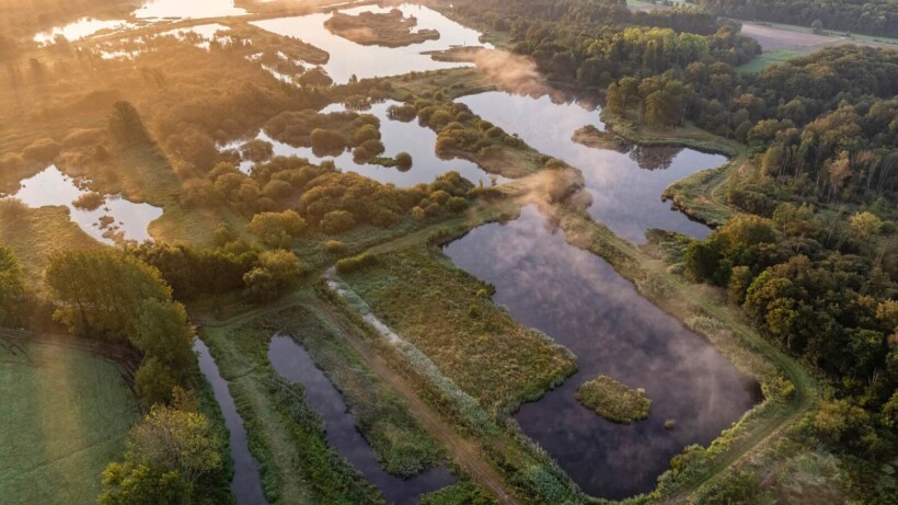 Verborgen in Vlaanderen: 7 onbekende natuurparels