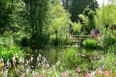 Waterrijke Oevertuin in De Blesse: ‘Zonder vijver geen tuin’