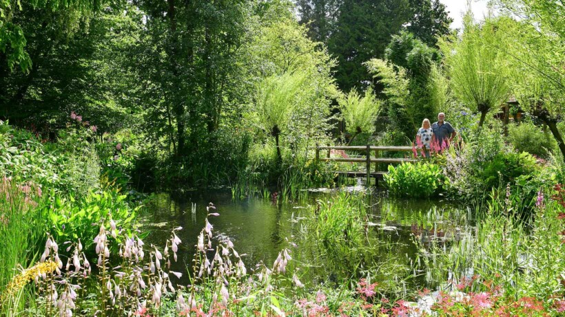 Waterrijke Oevertuin in De Blesse: ‘Zonder vijver geen tuin’