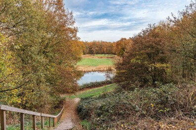 Boswachterspad Kuinderbos: polderbos op de zeebodem