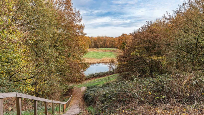 Boswachterspad Kuinderbos: polderbos op de zeebodem