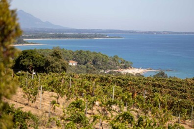 Ontdek Corsica: wandelparadijs én het decor voor de perfecte natuurfoto (advertorial)