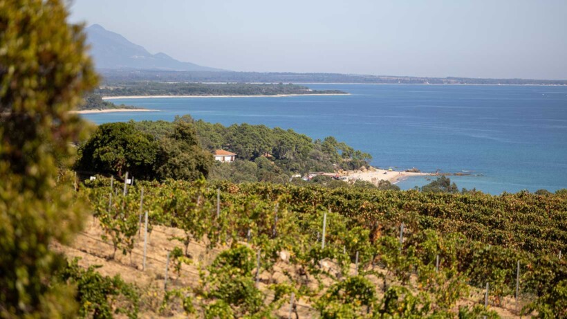 Ontdek Corsica: wandelparadijs én het decor voor de perfecte natuurfoto (advertorial)
