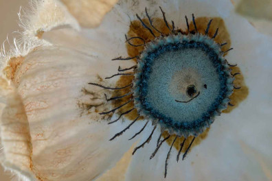 De 10 mooiste foto’s van ronde vormen