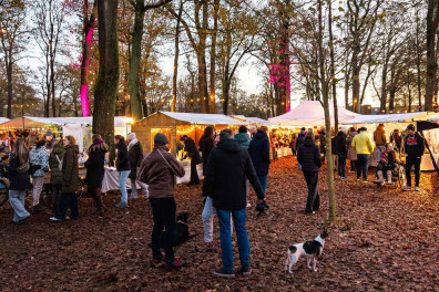 Van vogeltrek tot winterfair: tips voor uitjes in november