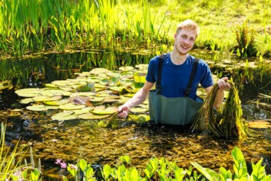 Een heldere vijver met weinig werk: 6 tips van een vijverexpert