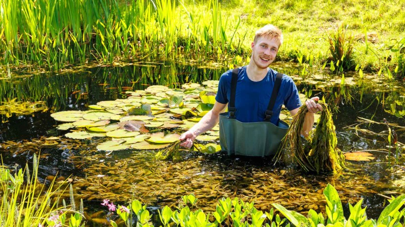 Een heldere vijver met weinig werk: 6 tips van een vijverexpert